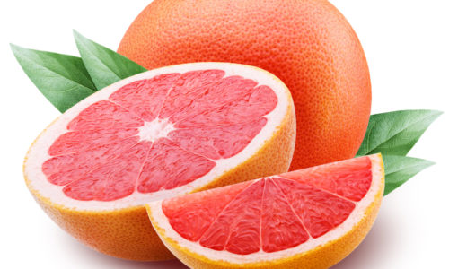 Paloma
